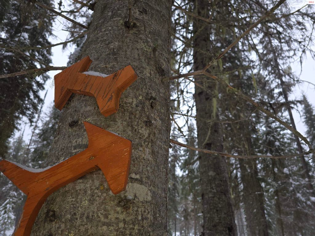 355 Upper Ford Cut Off Road, Yaak, MT 59935 photo 12