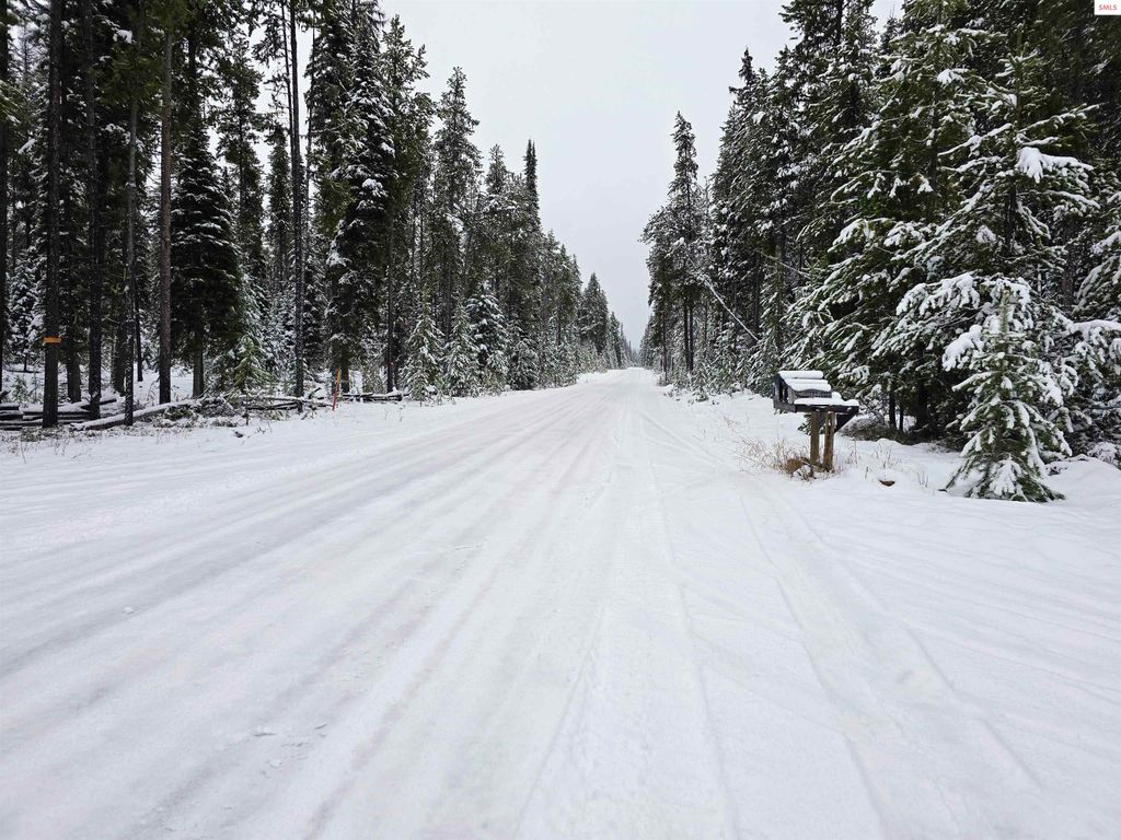 355 Upper Ford Cut Off Road, Yaak, MT 59935 photo 17