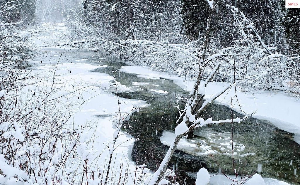 355 Upper Ford Cut Off Road, Yaak, MT 59935 photo 3