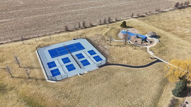 2665 Daniel Lewis Drive, New Lenox, IL 60451