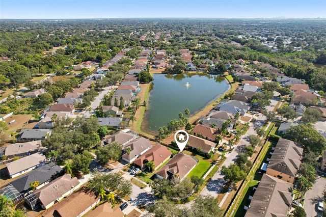 10211 OASIS PALM DRIVE, Tampa, FL 33615