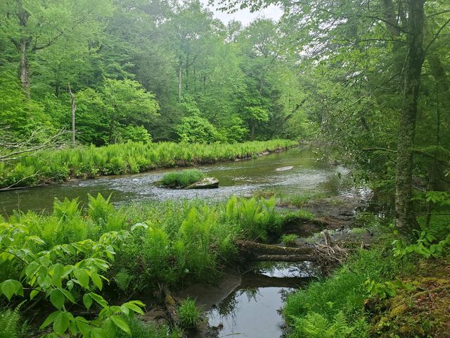 000 Creamery Road, Mongaup Valley, NY 12720