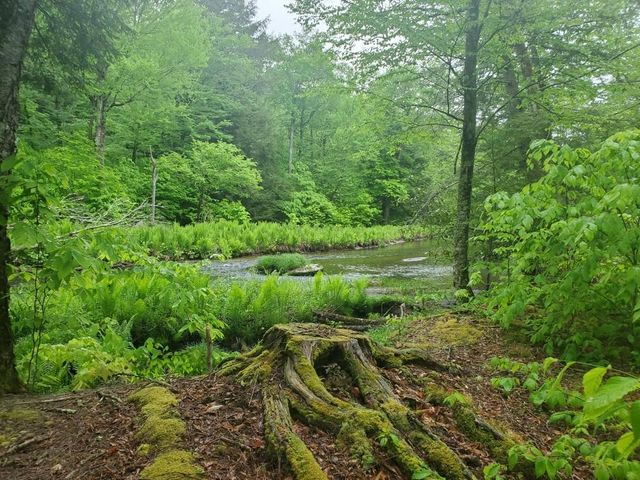 000 Creamery Road, Mongaup Valley, NY 12720
