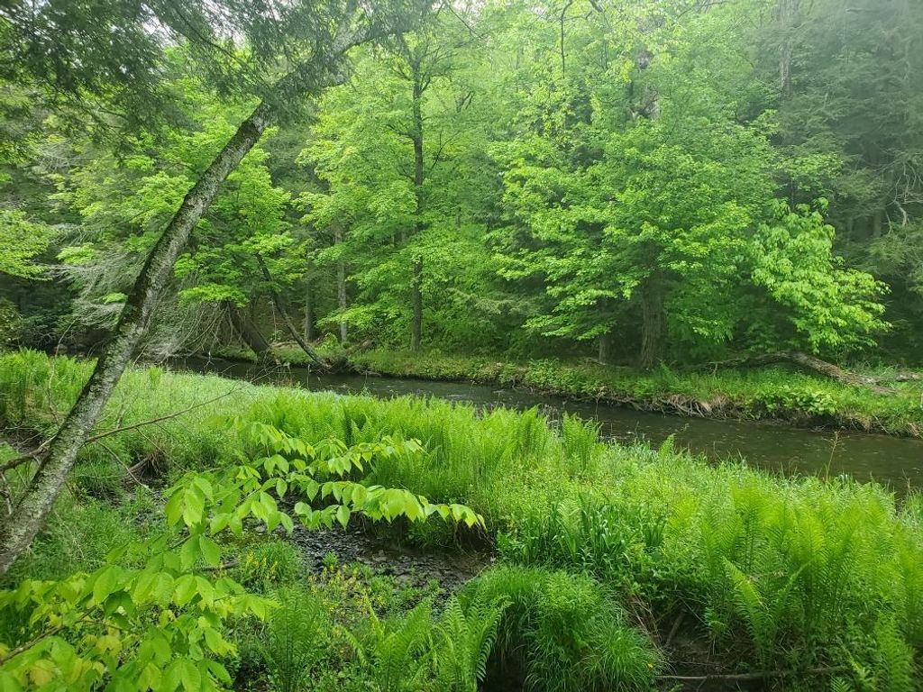 000 Creamery Road, Mongaup Valley, NY 12720