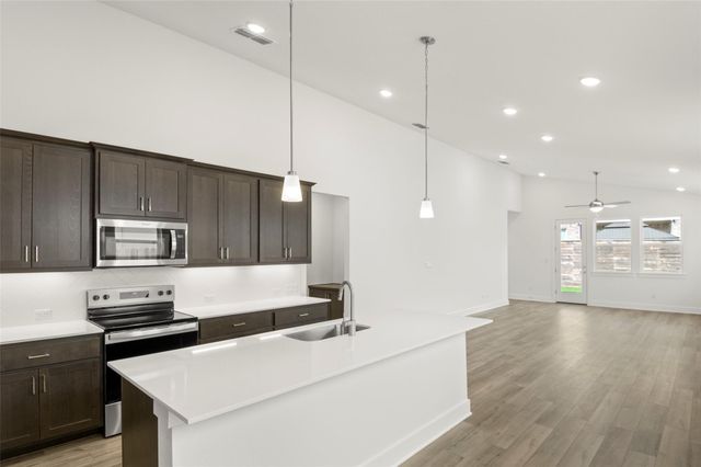 1117 Yaupon Holly DR, Georgetown, TX 78628