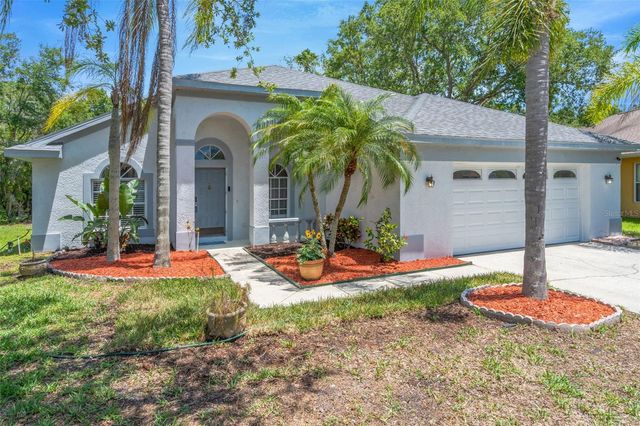 368 TAVERNIER CIRCLE, Oldsmar, FL 34677