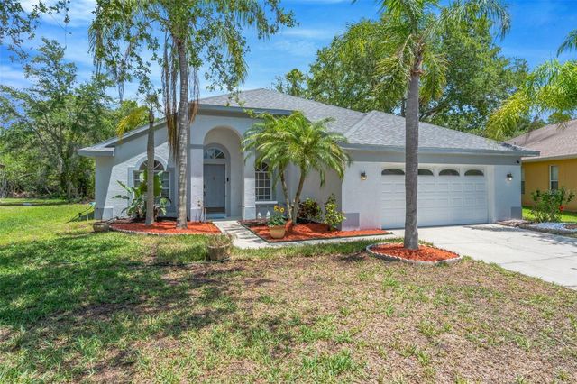 368 TAVERNIER CIRCLE, Oldsmar, FL 34677