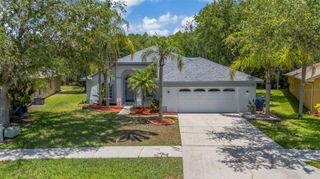 368 TAVERNIER CIRCLE, Oldsmar, FL 34677