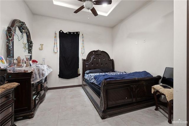 1339 Carlos Drive, Alamo, TX 78516