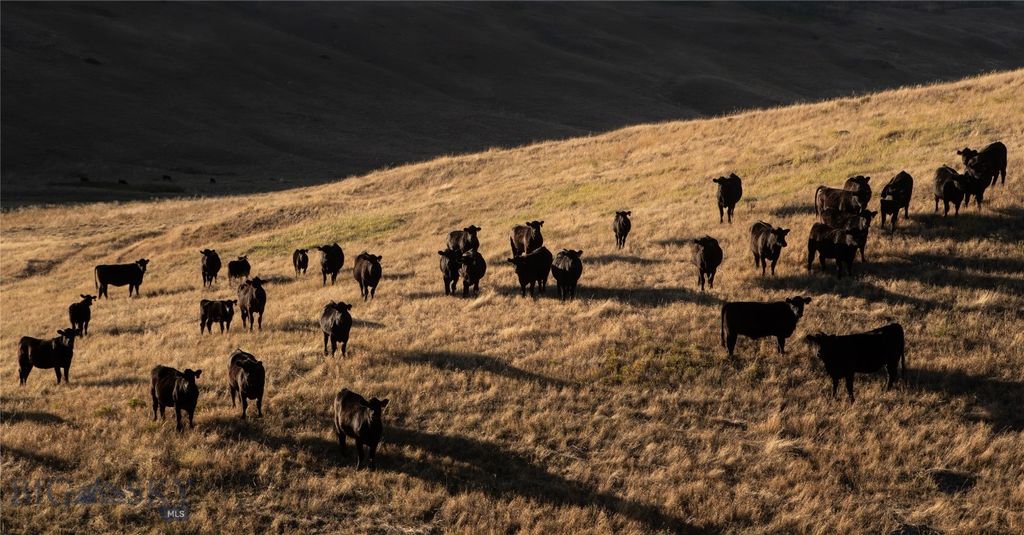 2191 Milligan Road, Cascade, MT 59421 photo 11