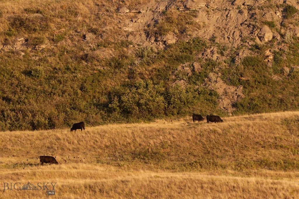 2191 Milligan Road, Cascade, MT 59421 photo 13