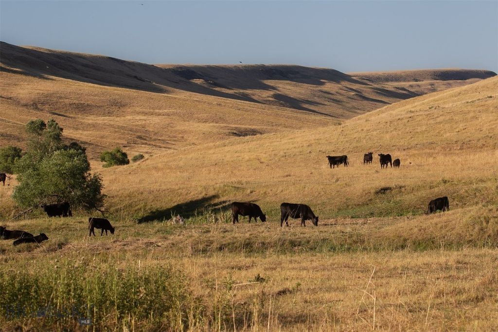 2191 Milligan Road, Cascade, MT 59421 photo 14