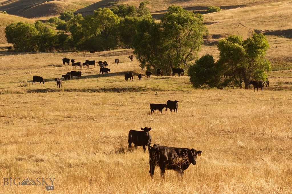 2191 Milligan Road, Cascade, MT 59421 photo 15