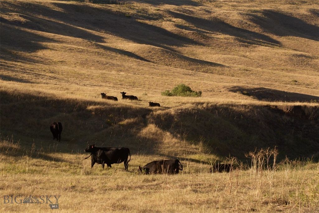 2191 Milligan Road, Cascade, MT 59421 photo 16