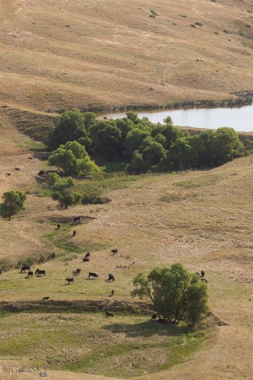 2191 Milligan Road, Cascade, MT 59421 photo 24