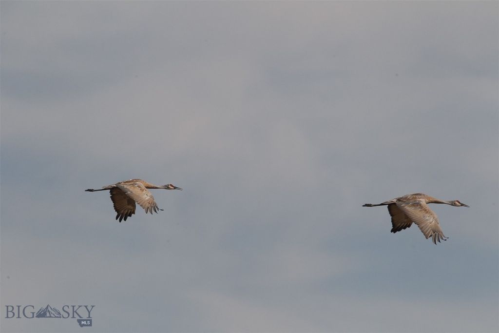 2191 Milligan Road, Cascade, MT 59421 photo 28