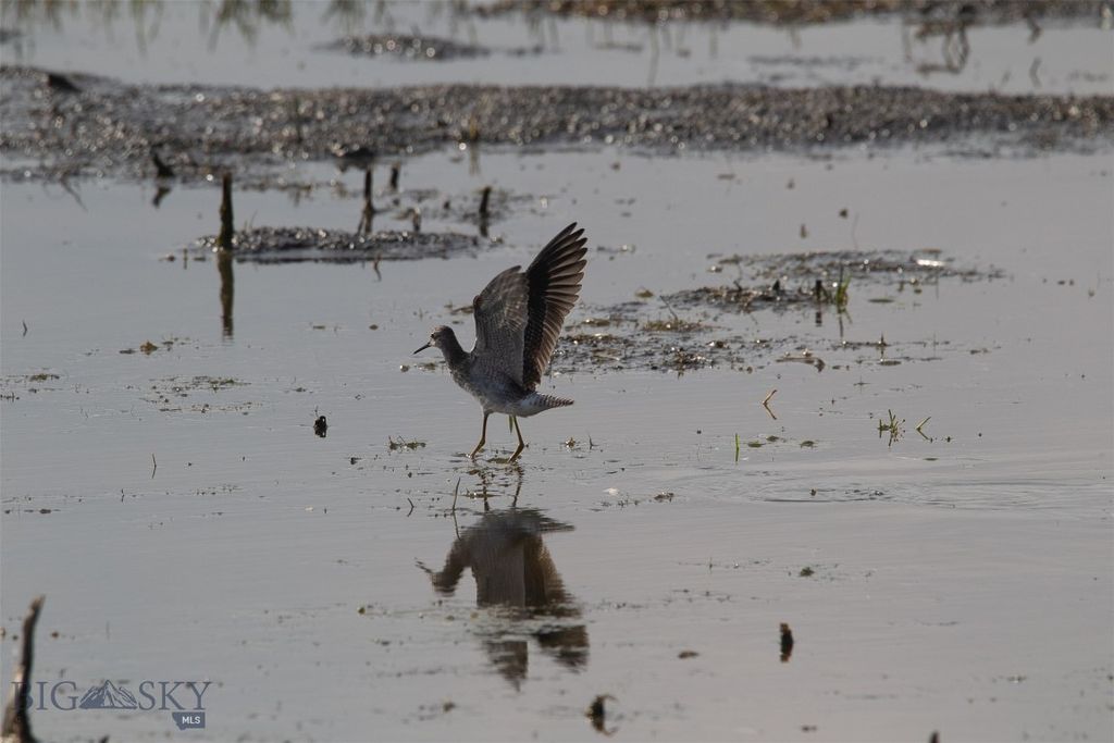 2191 Milligan Road, Cascade, MT 59421 photo 29