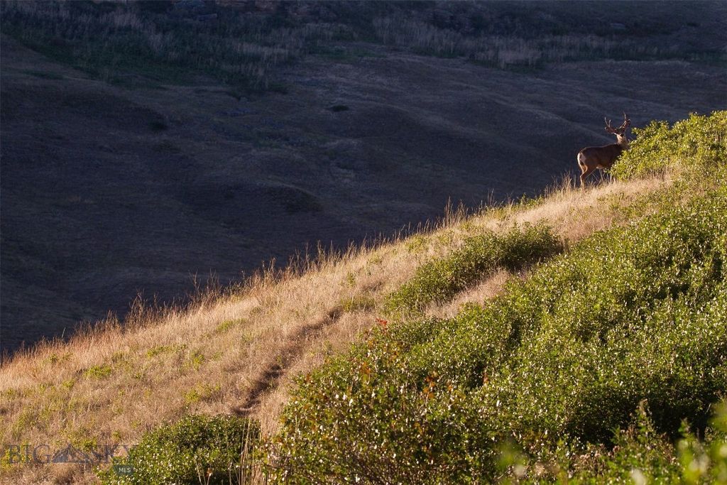 2191 Milligan Road, Cascade, MT 59421 photo 30