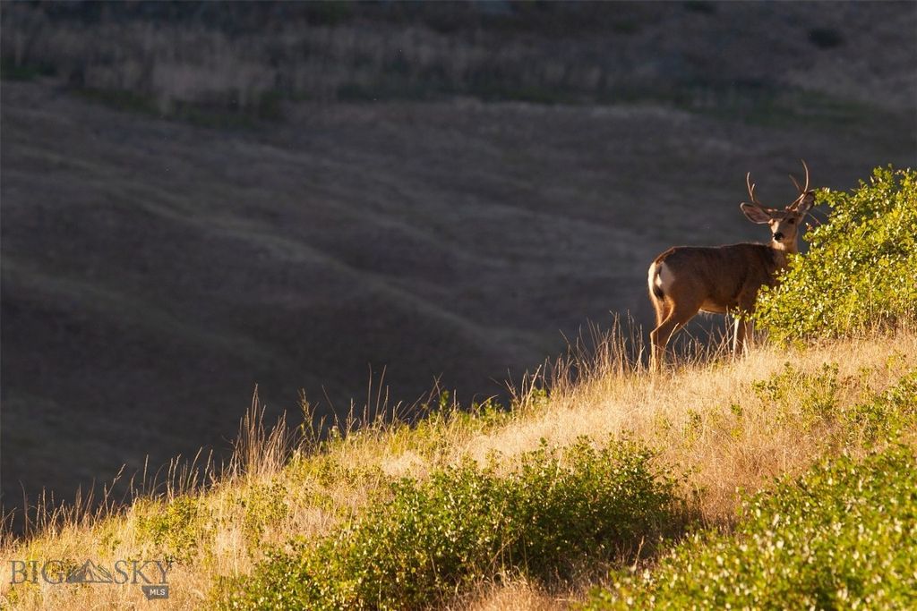 2191 Milligan Road, Cascade, MT 59421 photo 31