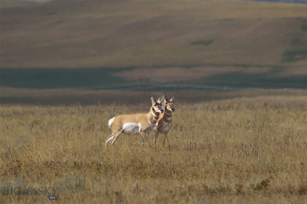 2191 Milligan Road, Cascade, MT 59421 photo 33