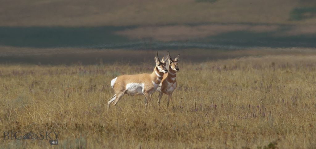 2191 Milligan Road, Cascade, MT 59421 photo 34