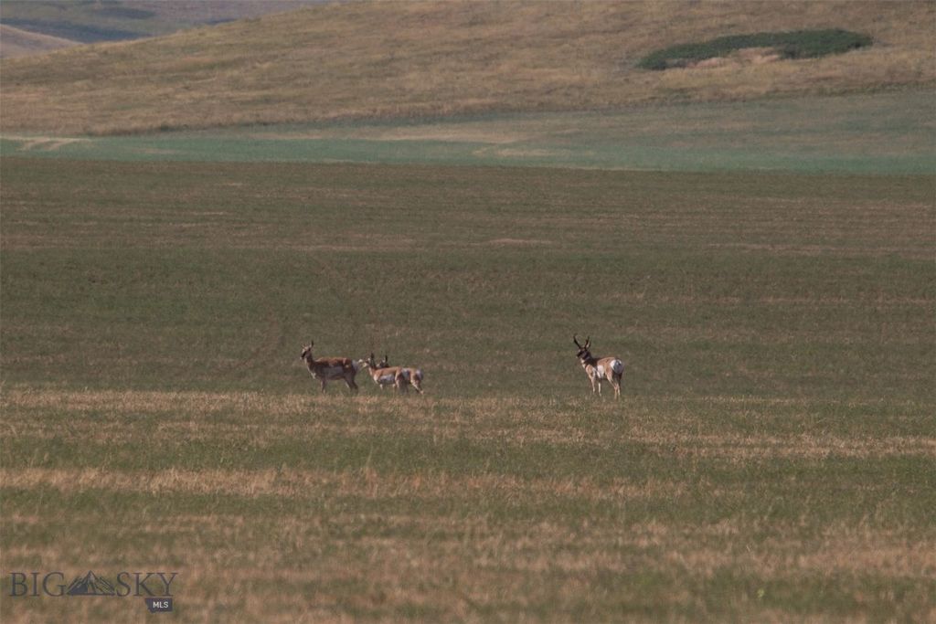 2191 Milligan Road, Cascade, MT 59421 photo 37