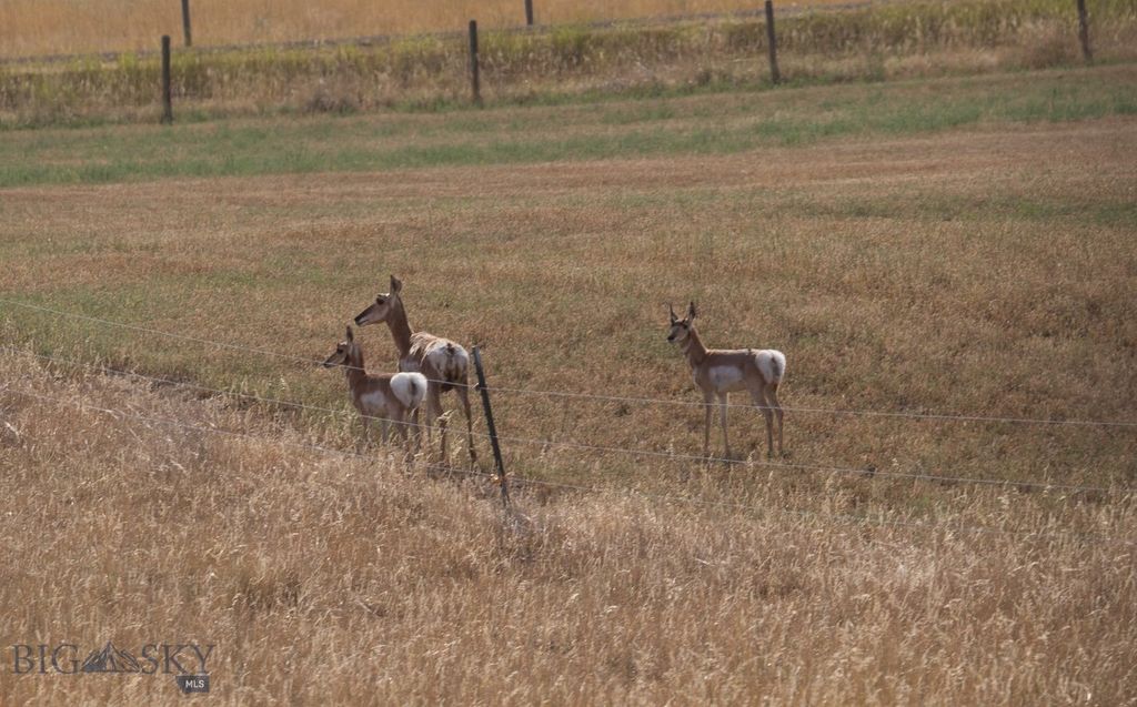 2191 Milligan Road, Cascade, MT 59421 photo 38