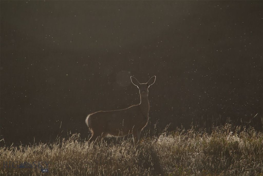 2191 Milligan Road, Cascade, MT 59421 photo 41