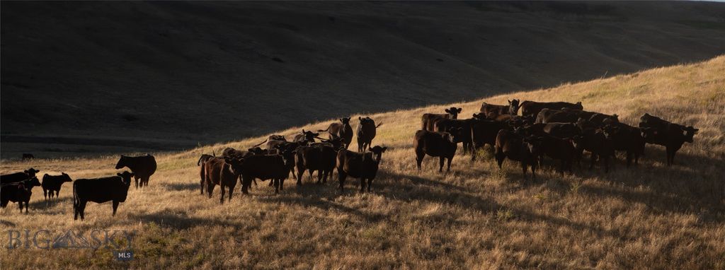 2191 Milligan Road, Cascade, MT 59421 photo 42