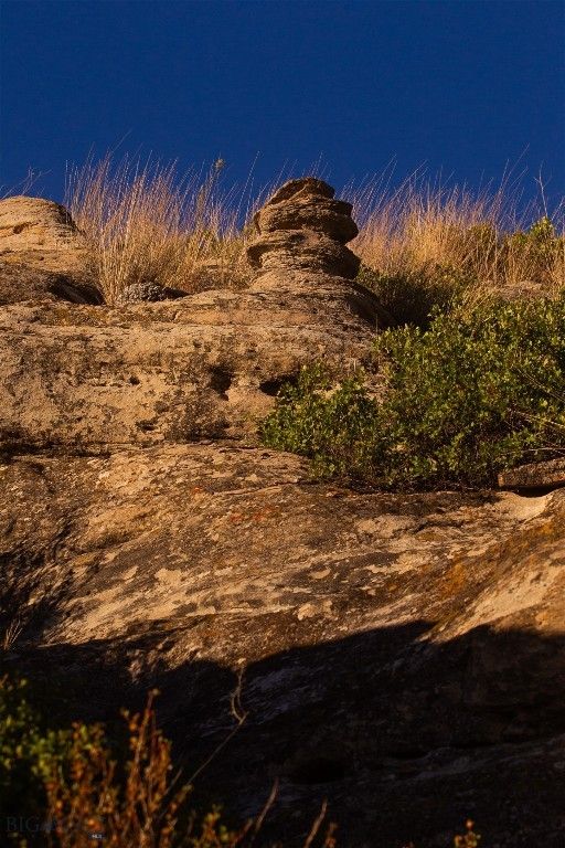 2191 Milligan Road, Cascade, MT 59421 photo 7