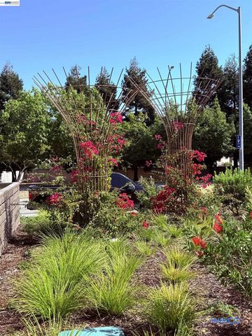 3810 Norbridge Ave, Castro Valley, CA 94546