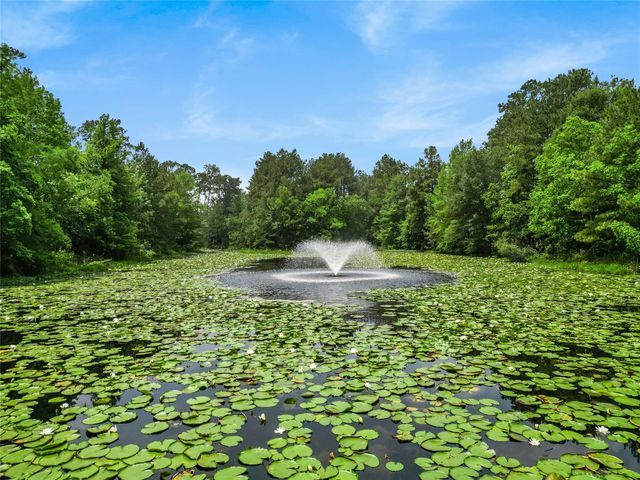 134 Moon Dance Court, Conroe, TX 77304