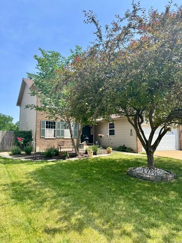 1064 N 129th Infantry Drive, Joliet, IL 60435
