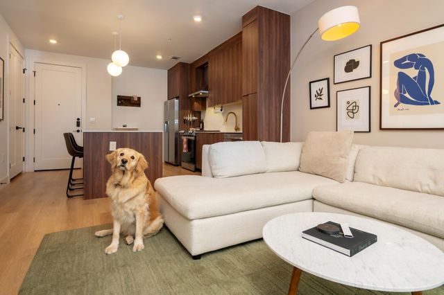 1701 Simond Ave 215, Austin, TX 78723