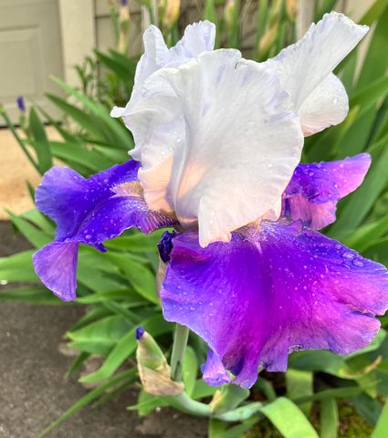 2593 Bluestone Circle, Kalamazoo, MI 49009