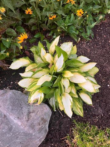 2593 Bluestone Circle, Kalamazoo, MI 49009