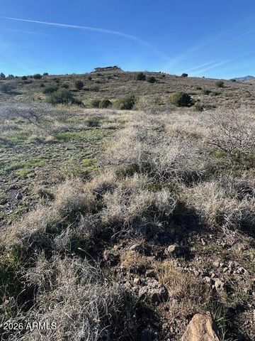 12225 S BENSCH Circle 342, Mayer, AZ 86333