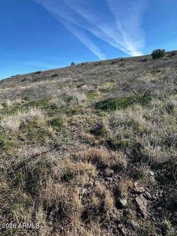 12225 S BENSCH Circle 342, Mayer, AZ 86333