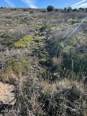 12225 S BENSCH Circle 342, Mayer, AZ 86333