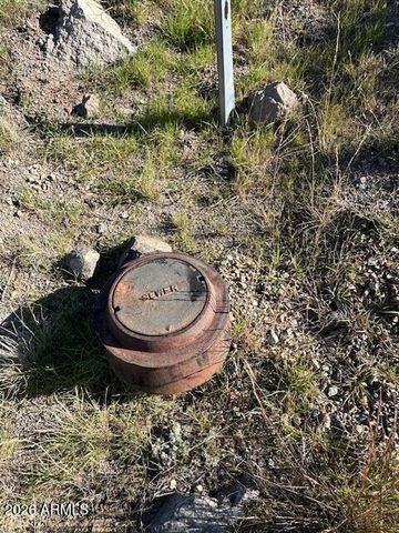 12225 S BENSCH Circle 342, Mayer, AZ 86333