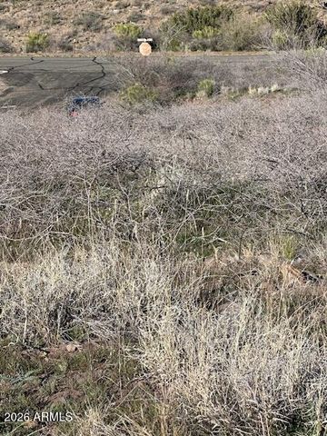 12225 S BENSCH Circle 342, Mayer, AZ 86333
