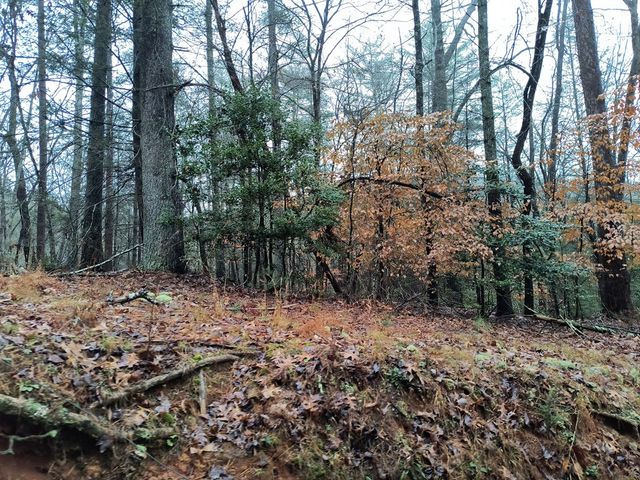 Lot 39 Kells Ridge Drive, East Ellijay, GA 30540
