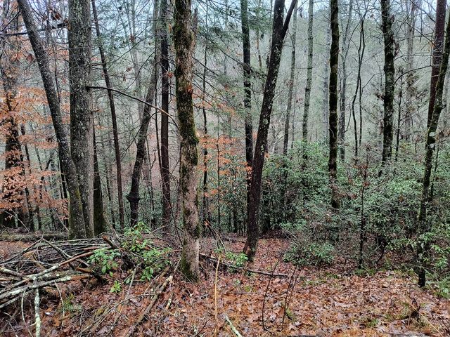 Lot 39 Kells Ridge Drive, East Ellijay, GA 30540
