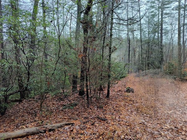 Lot 39 Kells Ridge Drive, East Ellijay, GA 30540