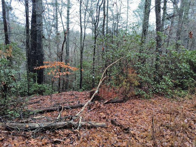 Lot 39 Kells Ridge Drive, East Ellijay, GA 30540
