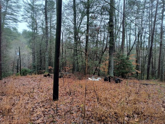 Lot 39 Kells Ridge Drive, East Ellijay, GA 30540