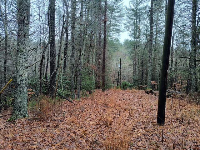 Lot 39 Kells Ridge Drive, East Ellijay, GA 30540
