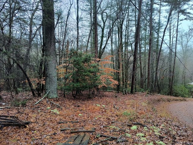 Lot 39 Kells Ridge Drive, East Ellijay, GA 30540