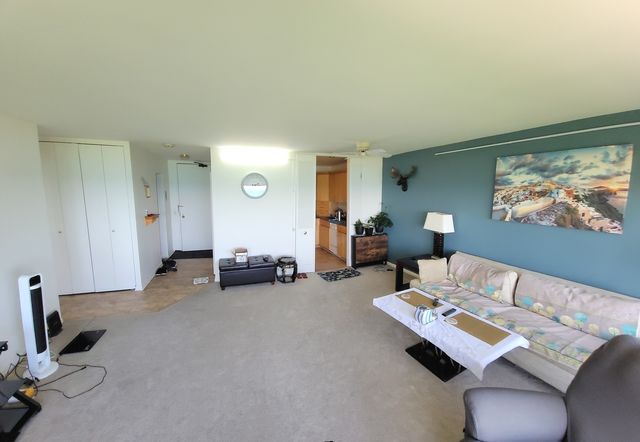 5445 N Sheridan Road 2110, Chicago, IL 60640
