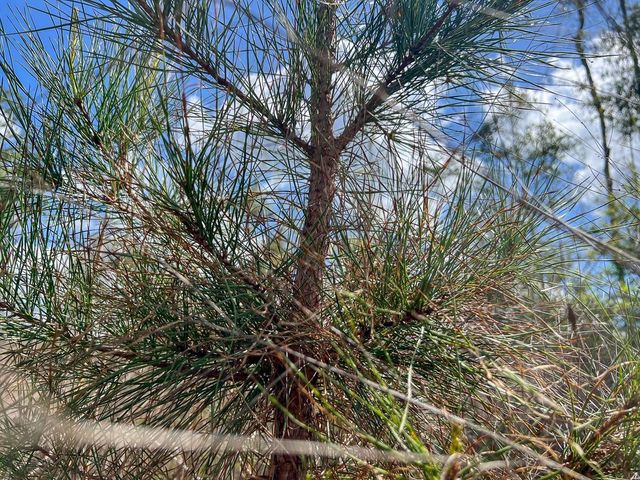 1 Fm 2827, Warren, TX 77664